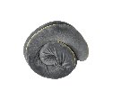 כרית צוואר Memory Foam מבית Rollink לנסיעות ולטיסות